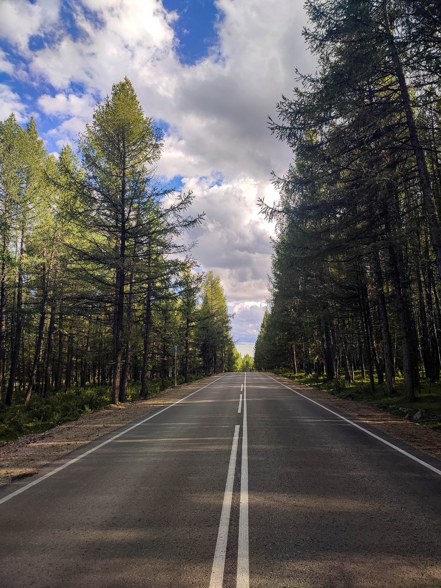 Весь Алтай, то есть и республика, и край, славится отличными дорогами. Значительно лучше, чем в Новосибирской области.