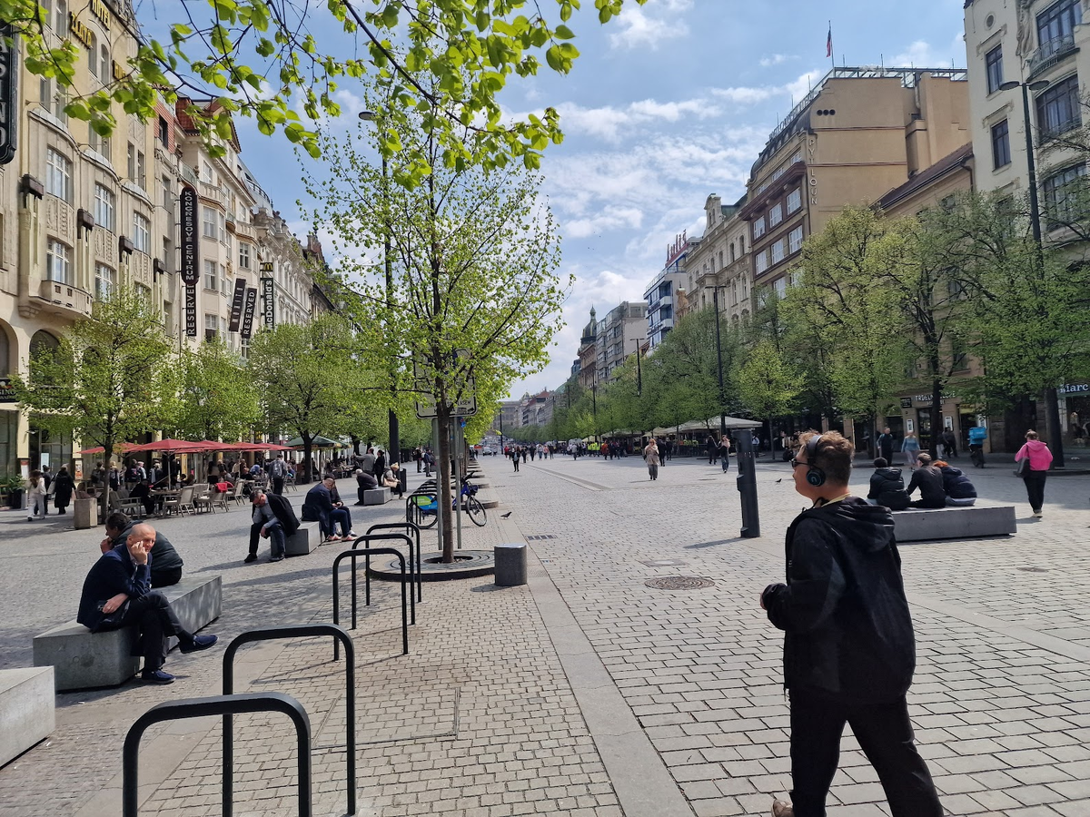 фото автора: Миша по Вацлаваку гуляет