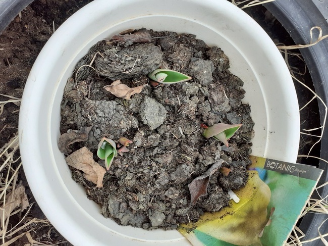 Фотография автора