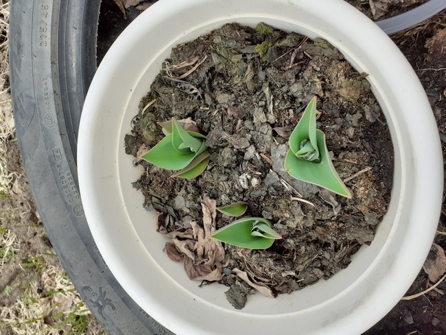 Фотография автора