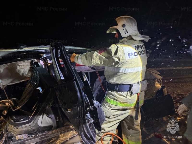    Фото: Управление МЧС по Орловской области