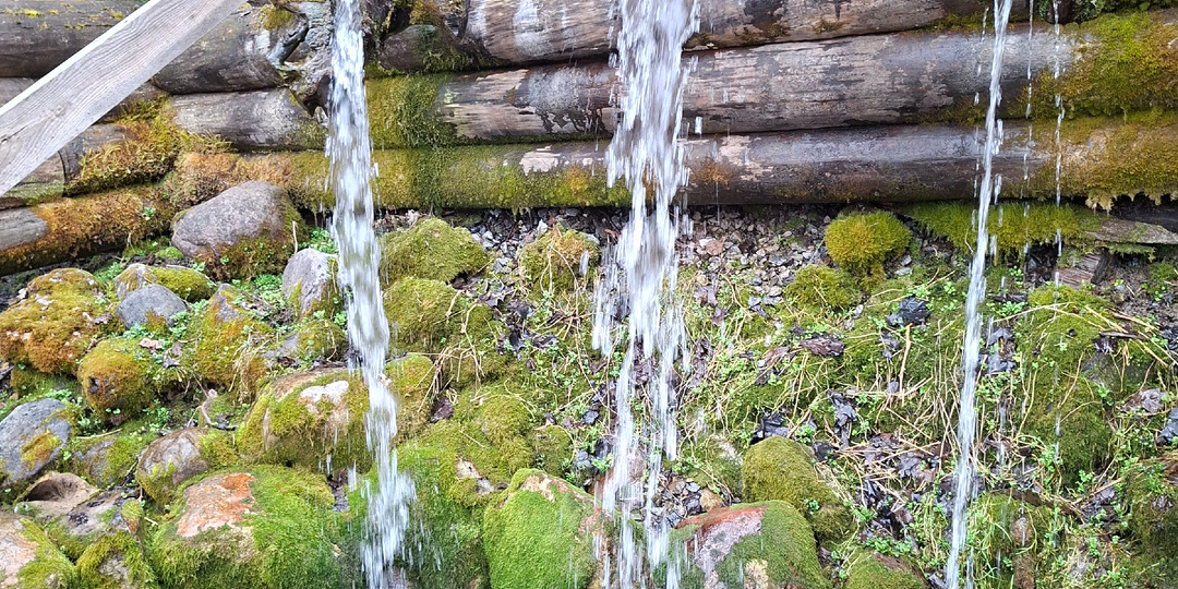 Гремячий ключ: святой источник, открытый Сергием Радонежским, куда тянутся тысячи паломников
