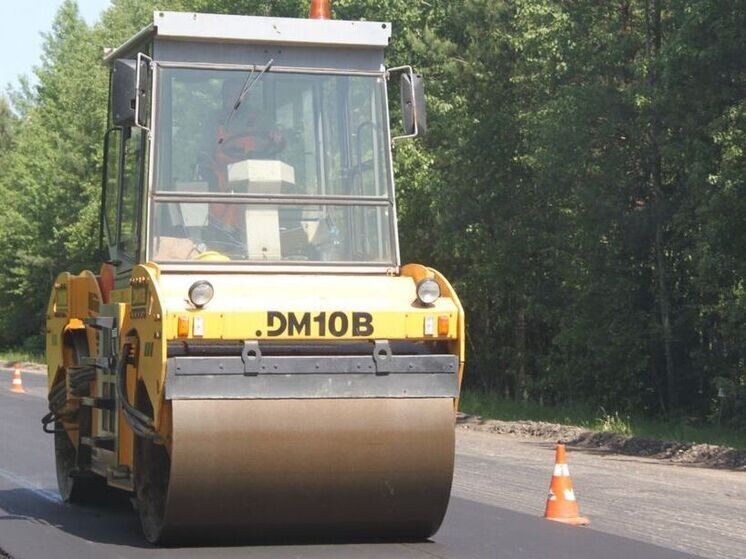     Фото: Управления автомобильных дорог Брянской области