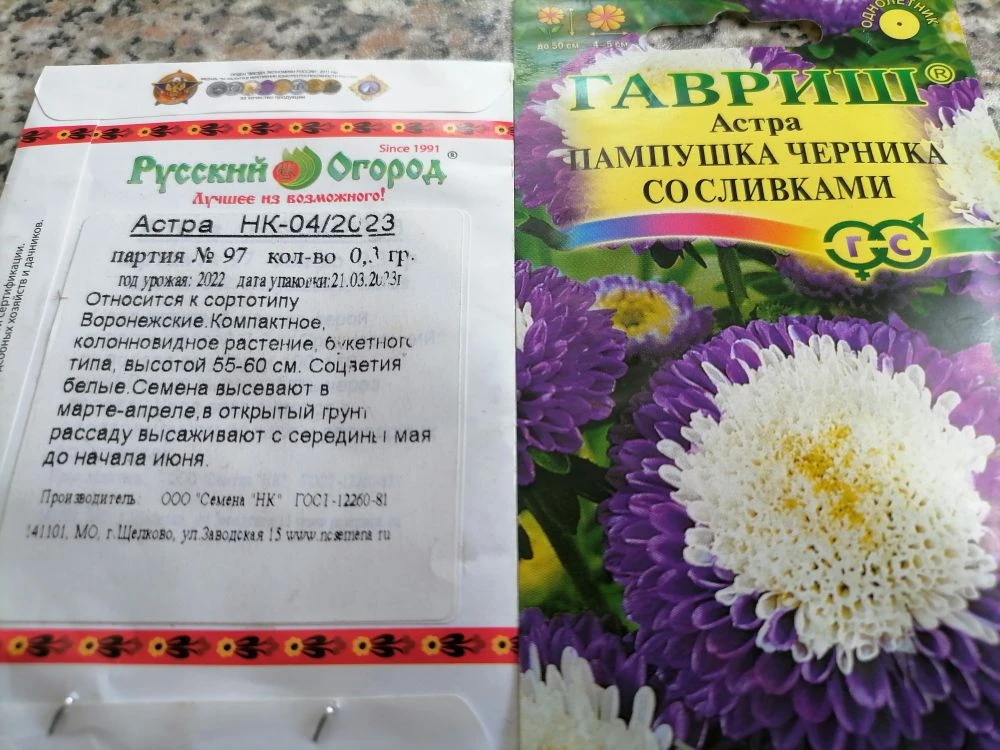 Семена астр, фото автора