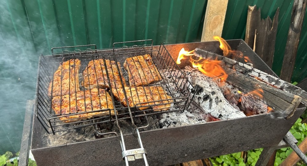 В пригороде Нижнего Тагила вводят запрет на посещение лесов и использование мангалов