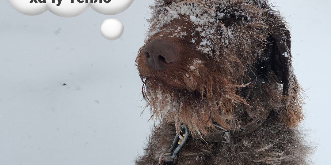 Опять зима вернулась в Сибирь. Как будто и не уходила вовсе...