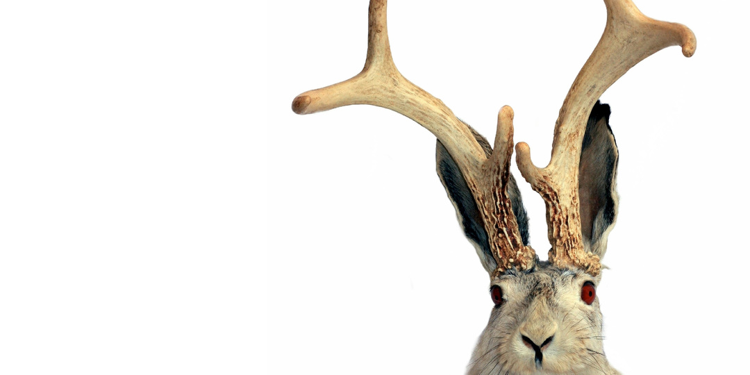 Мифы и легенды о торгах в процедуре банкротства