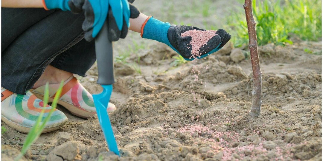 Какие удобрения можно внести в саду во второй половине апреля