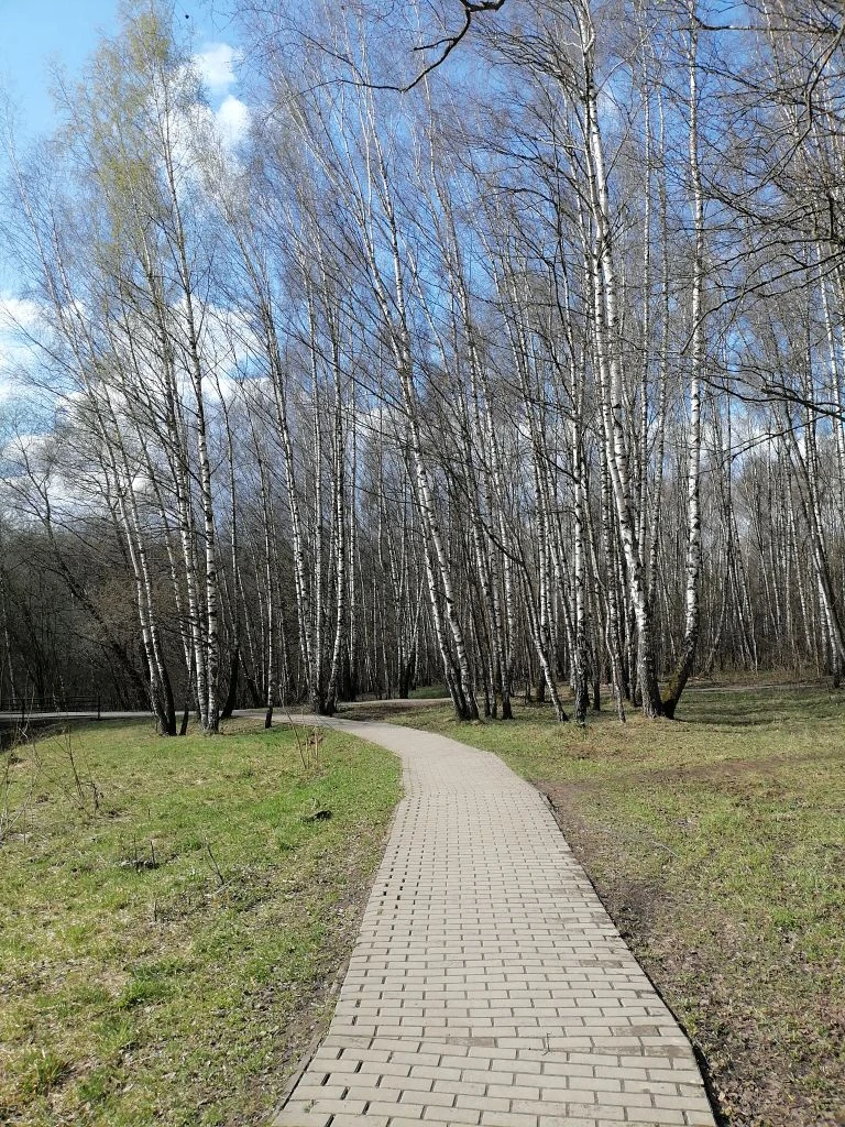 Тропаревский парк