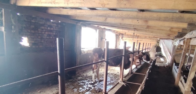    Инна Болучевская / VK