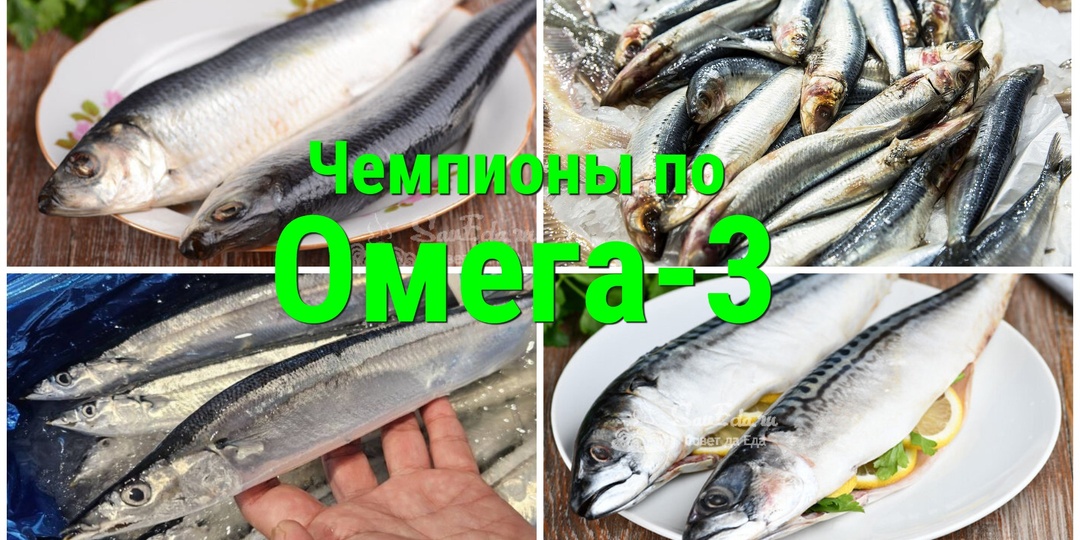 4 самые полезные рыбы: запомнить легко, они на букву «С» (плюс 3 рецепта)