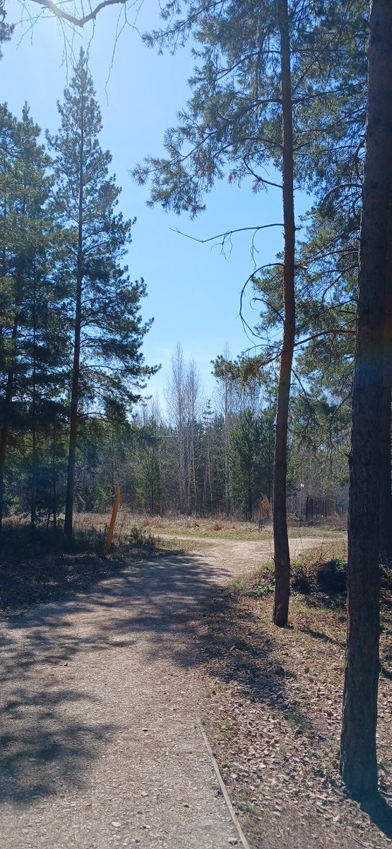 "Доброе утро, мир! Ты прекрасен!" Фото автора