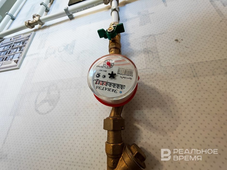   Артем Дергунов / realnoevremya.ru