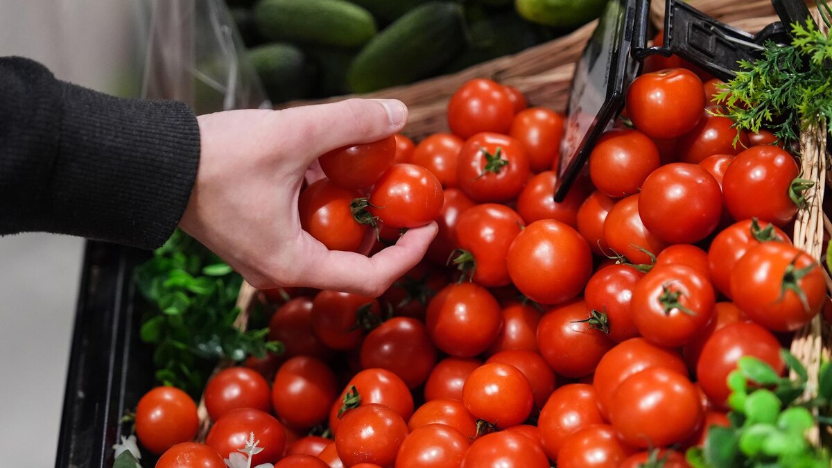 Фото: ИЗВЕСТИЯ/Эдуард Корниенко