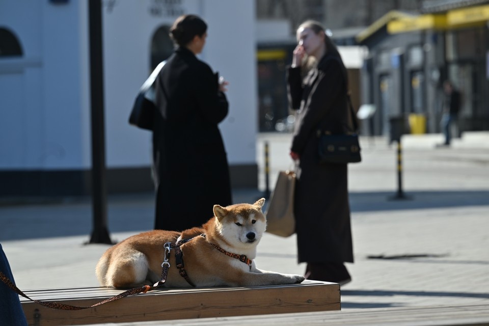    На выходных воздух прогреется до +20. Евгения ГУСЕВА