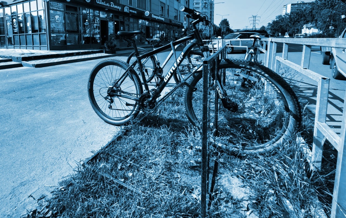    Фото: МВД Карелии