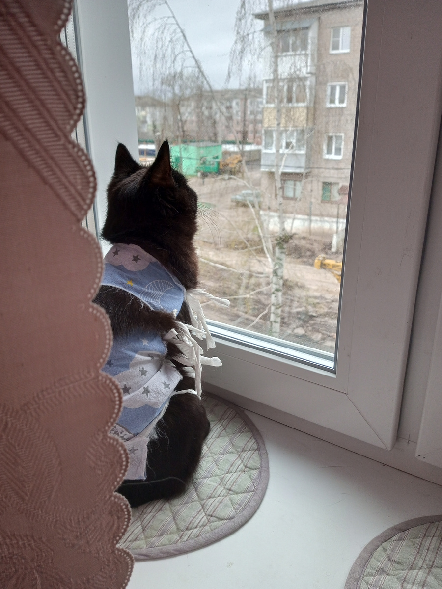 Девочка ждёт