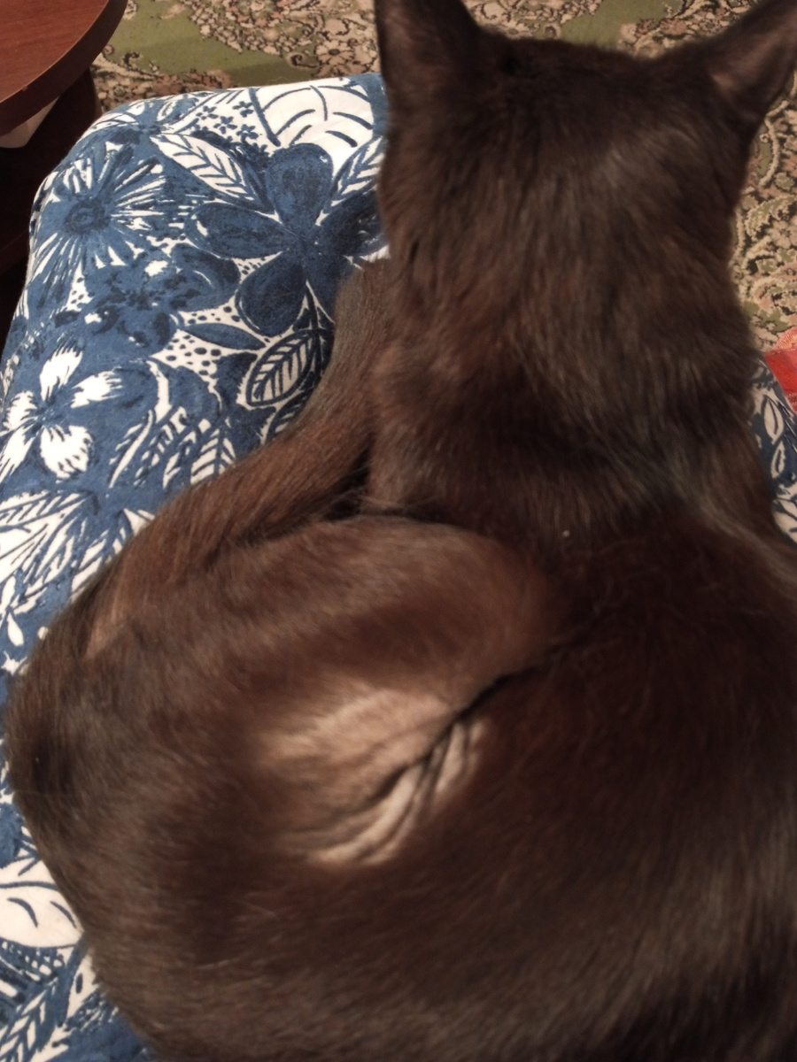 Как же тут не мёрзнуть?