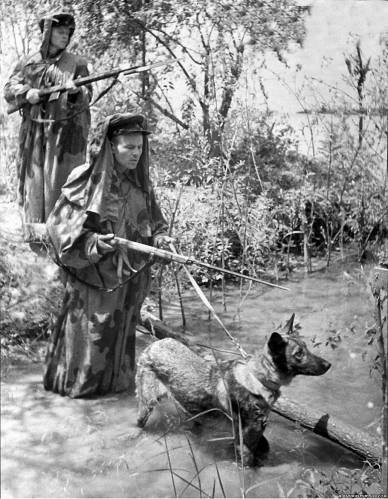 Бойцы войск НКВД отличались высокой огневой подготовкой и железной дисциплиной