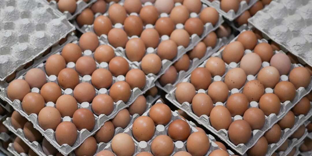 Казахстан лидирует в ЕАЭС по производству сельхозпродукции - ЕЭК