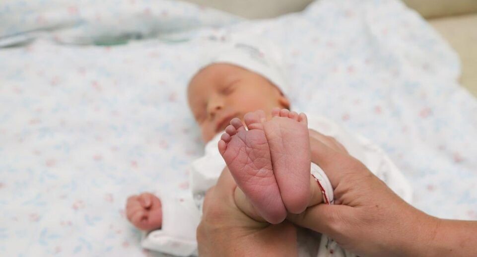    пресс служба Минздрава Московской области