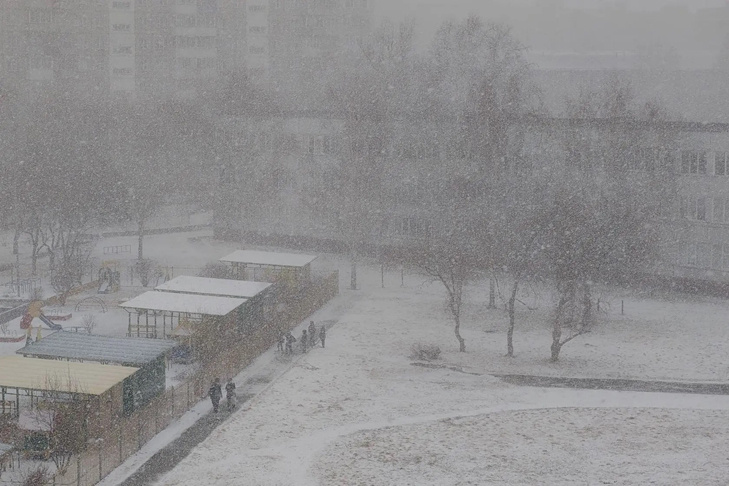    Фото Андрея Заржецкого