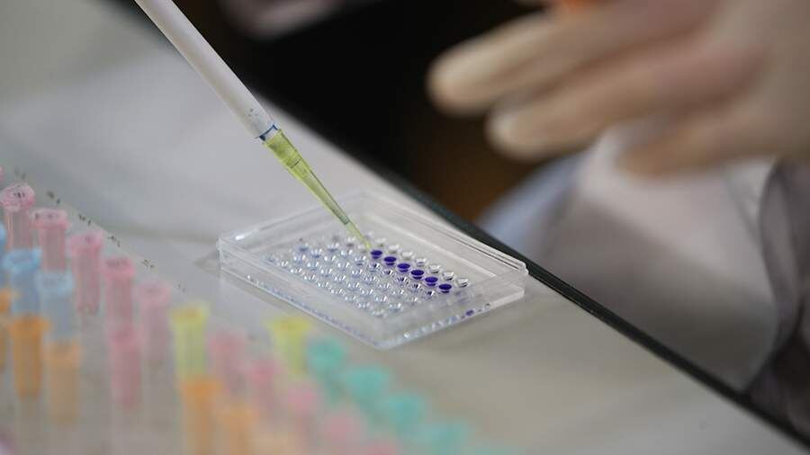    Фото: ИЗВЕСТИЯ/Зураб Джавахадзе