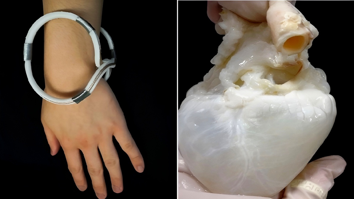 15 мозговыносящих фото фактов, которые заставили меня гордиться человечеством.