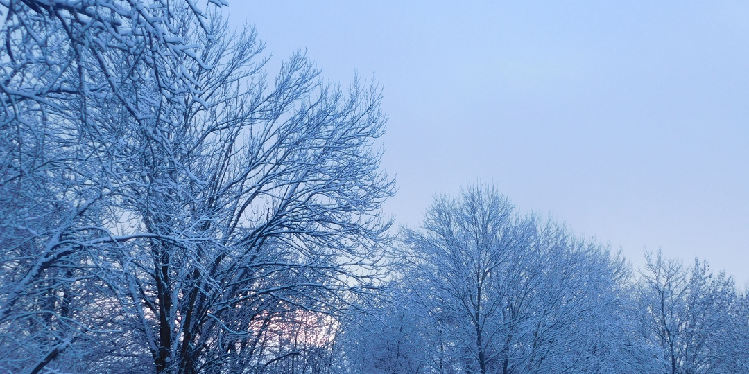 Родные околицы (часть 70)