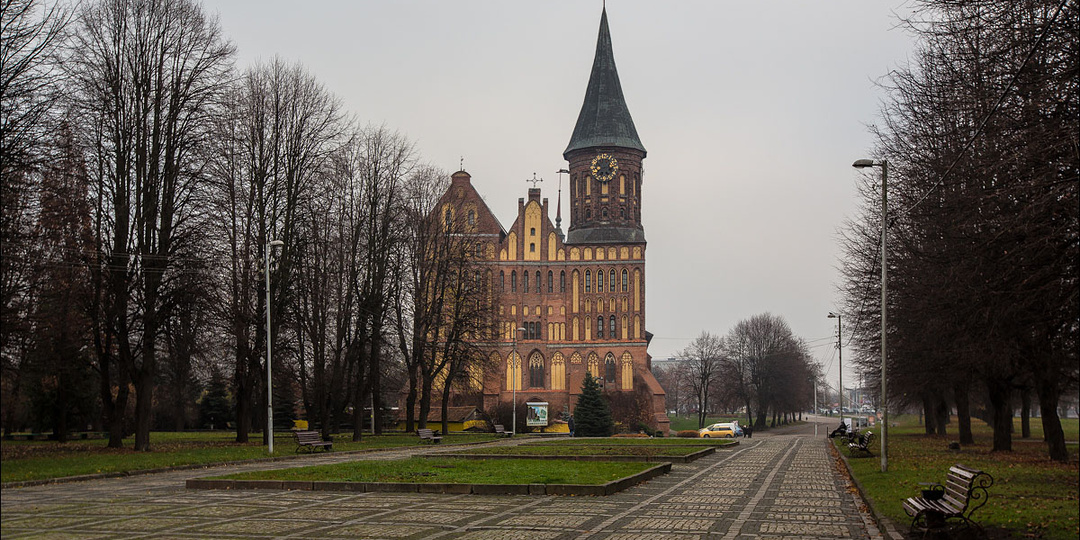 Зачистим Калининград и вот тогда заживём