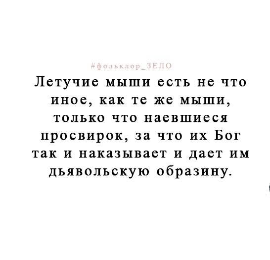 "Ни потка в потках нотопырь