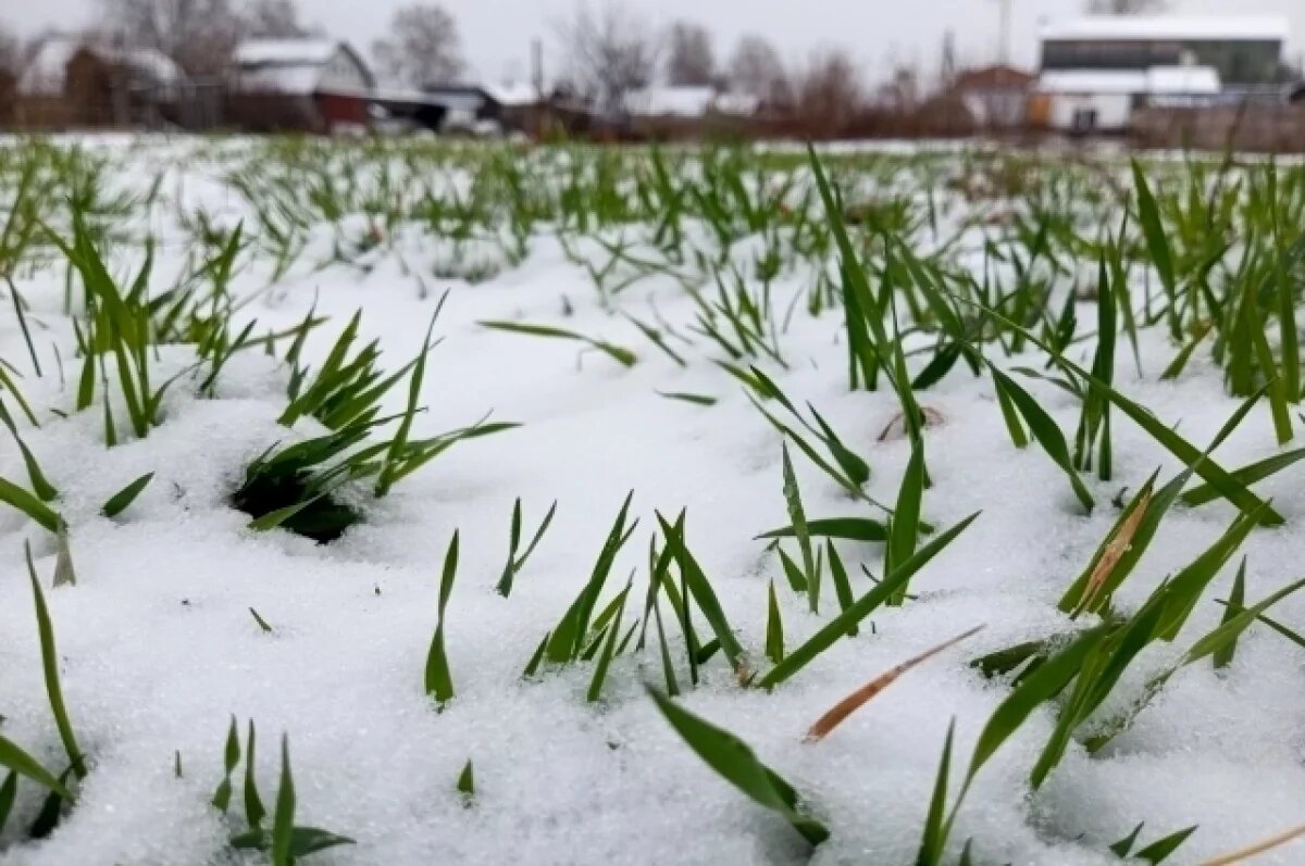    Сильные снегопады прогнозируют синоптики в Свердловской области