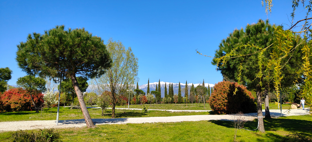 Адлер. День первый