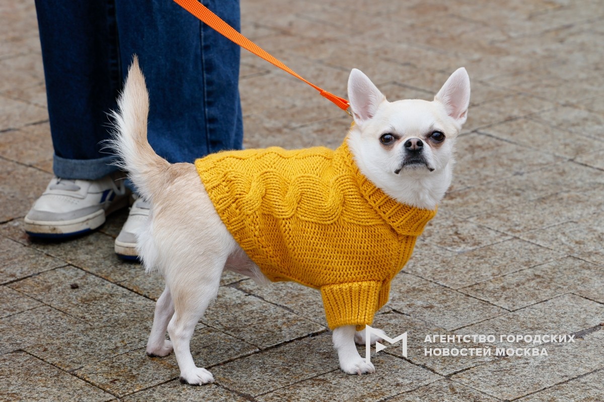 Фотограф: Светлана Нафикова