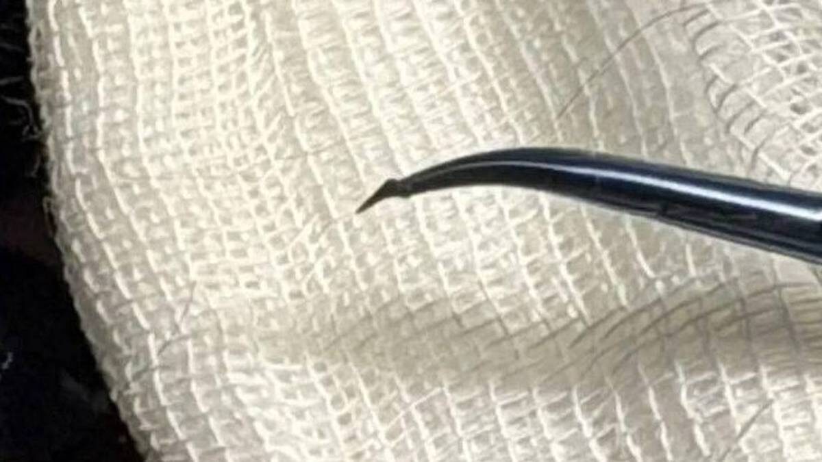    Фото: ГБУ «Мосветобъединение»