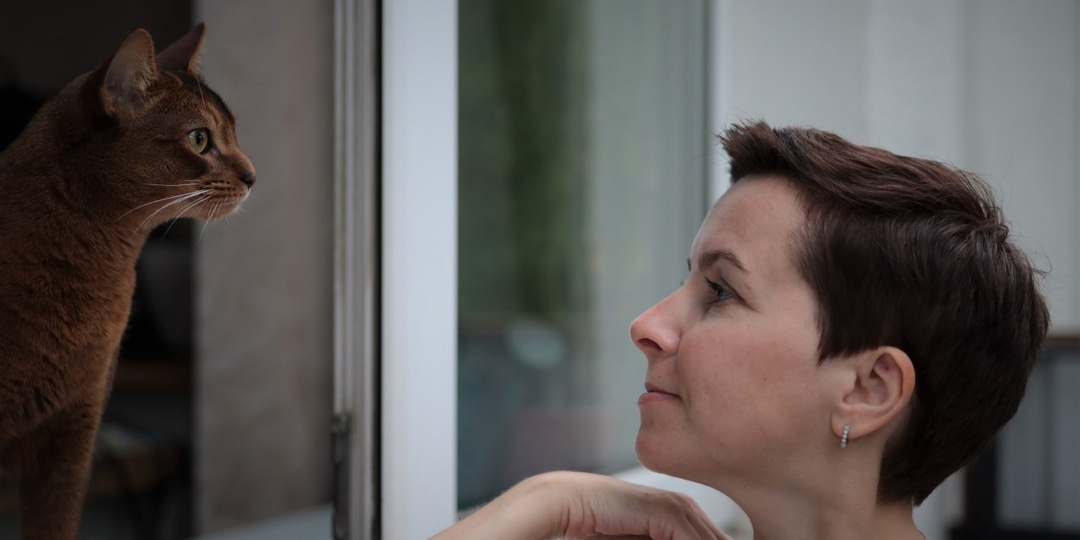 Моя ученица не расслышала «non-refundable» и потеряла 50 000 рублей