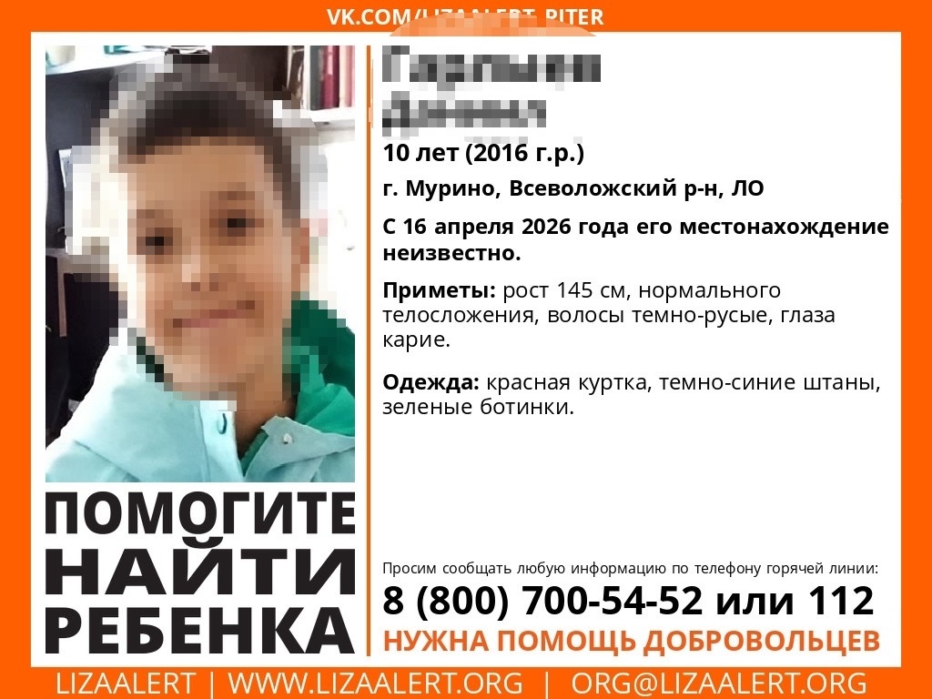 Фото: группа «Поисковый отряд «ЛизаАлерт» Питер» в соцсети «Вконтакте»