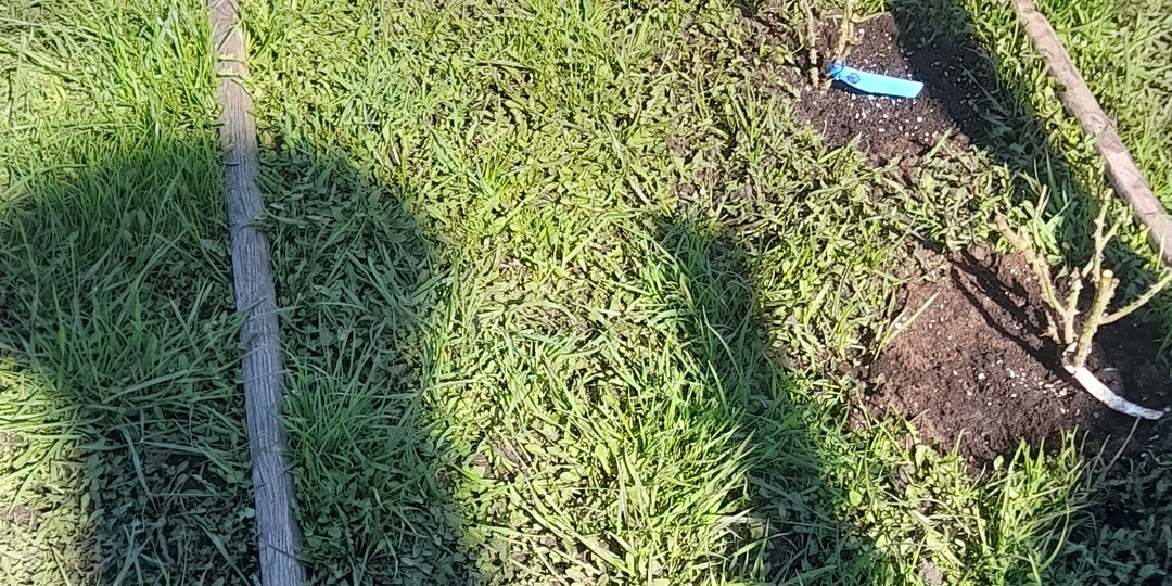 Сезон 2026 открыт.