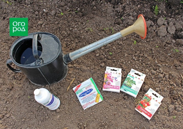 Чем обработать теплицу весной от болезней и вредителей