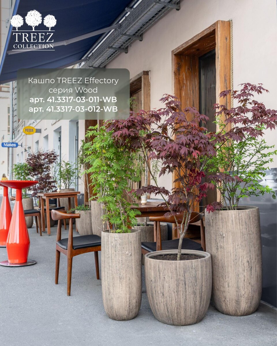 Кашпо TREEZ Collection