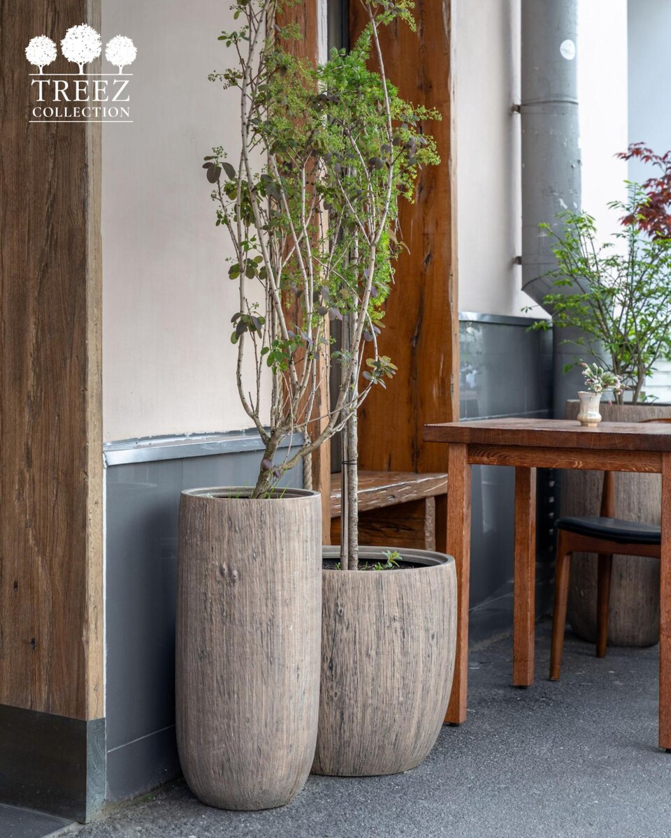 Кашпо TREEZ Collection