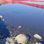    Фото: Минприроды РК