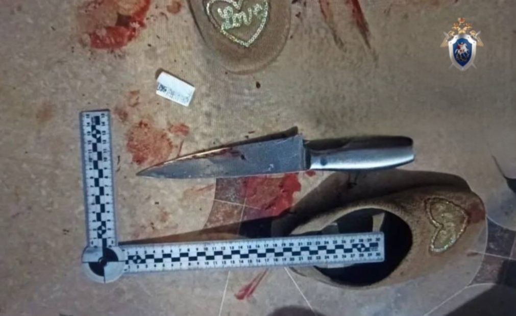    Фото: пресс-служба СУ СКР по Ставропольскому краю Михаил Маслов