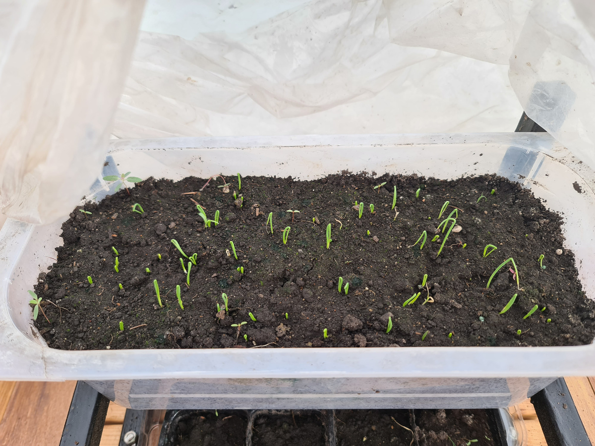 Эксибишен апрельский