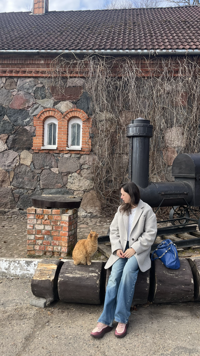 Старенький рыжий беззубый кот в Комарово. Беларусь. Путник в нашем путешествии. Март 2026 г