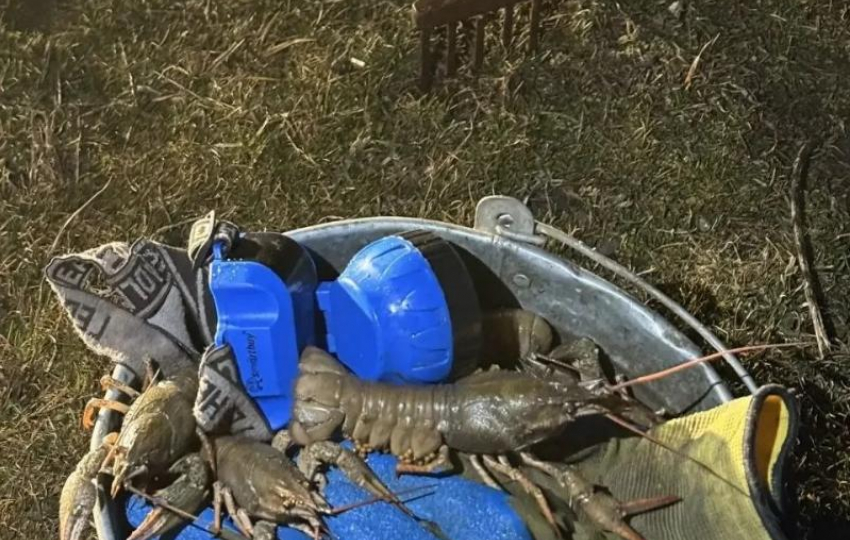 Вооруженного вилами истребителя раков задержали в Орловском районе