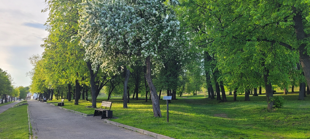 Набережная реки Волги