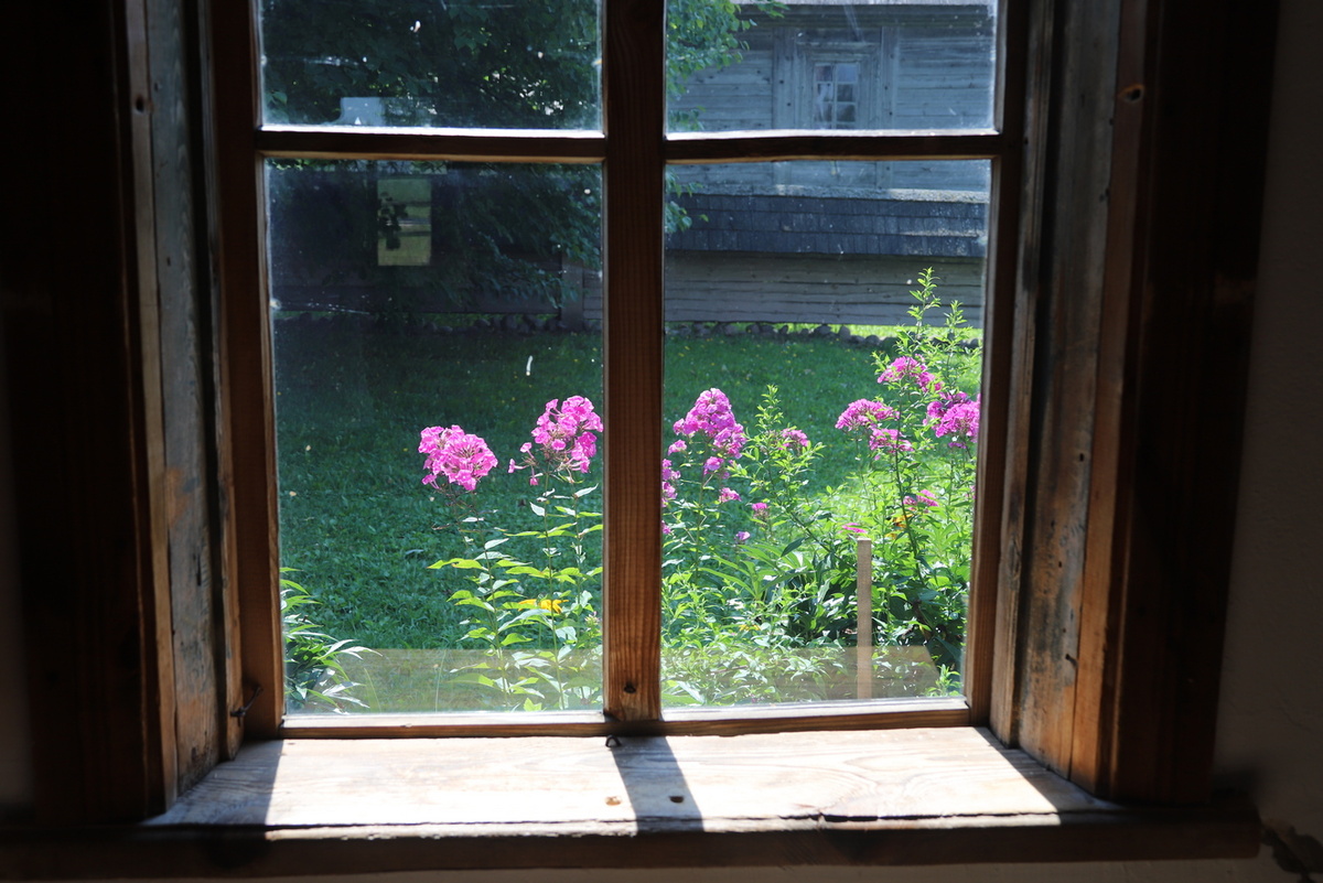 Яндекс Картинки