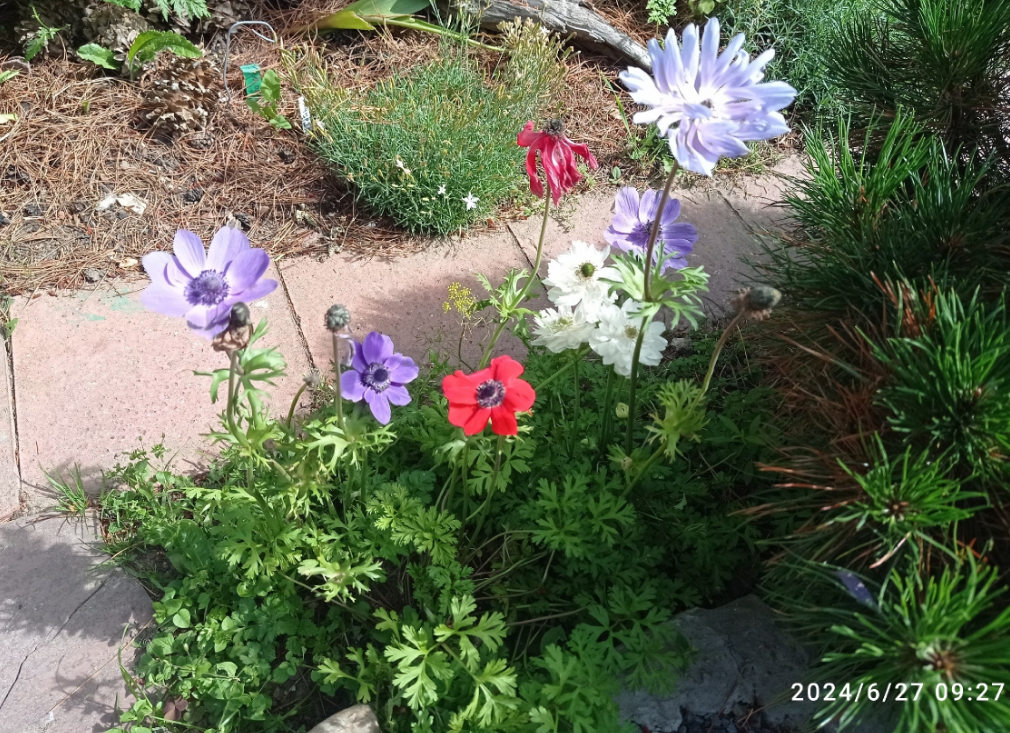 два года назаад