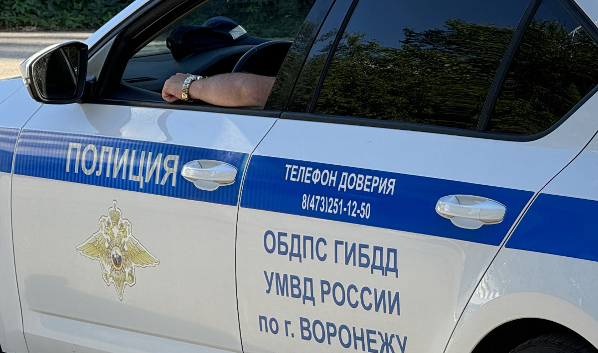     ДПС. Автор: редакция. Фото: редакция.